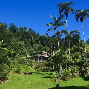 A Daintree Garden Holiday home
