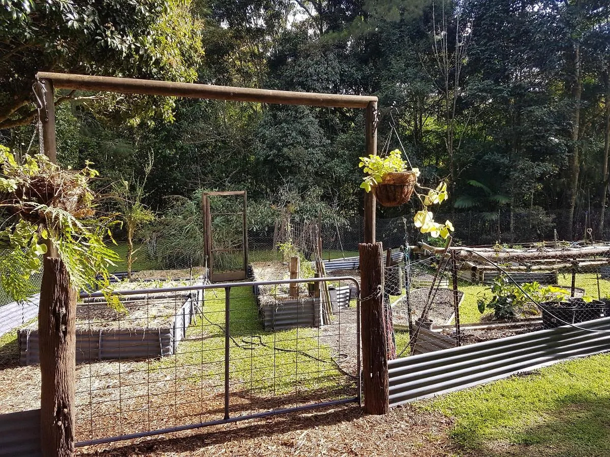 Garden Studio Jaggan