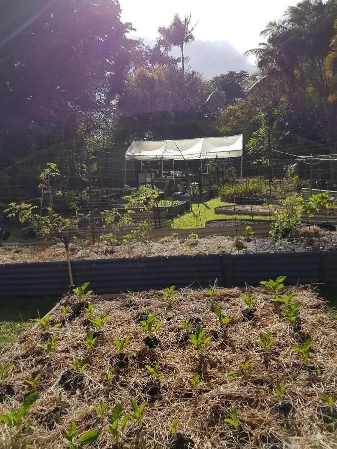 Lodge Garden Studio Jaggan